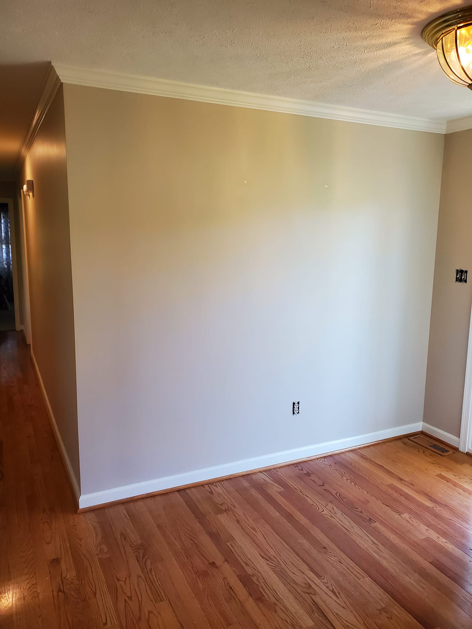 338347774_163479673284150_3177059935821385452_n